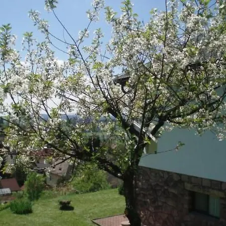 Σπίτι διακοπών Na Hora Mit Garten- Grill Und Terrasse By Interhome Male Svatonovice