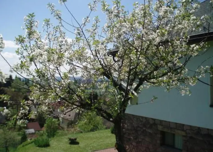 Σπίτι διακοπών Na Hora Mit Garten- Grill Und Terrasse By Interhome Male Svatonovice